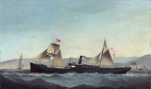 S.S. Glanrheidol af Basi Ivancovich