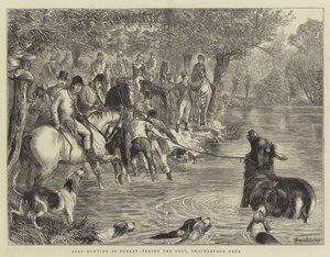 Jagt på hjorte i Surrey, at tage hjortene, Shackleford Pond