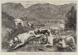 Westmoreland Sports, Hound Trial Race, Grasmere af Basil Bradley