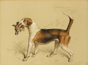 Gengældelse af Basil J. Nightingale