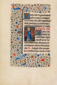 Saint Lawrence med et gitter