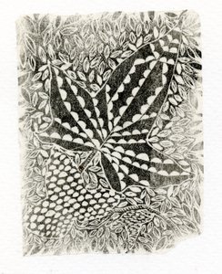Ivy, 2014, (trægravering på papir) af Bella Larsson