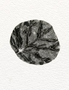 Leaf, 2014, (trægravering på papir) af Bella Larsson