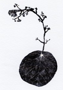 Lichen Leaf, 2014 (Trægravering, collage på papir) af Bella Larsson