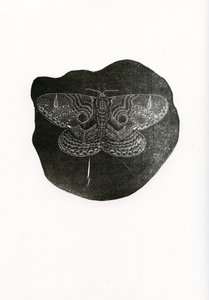 Night Butterfly, 2016, (trægravering på papir)