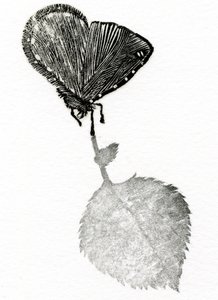 Suspense, 2014 (Trægravering, collage på papir) af Bella Larsson