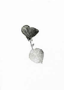 Suspense, 2014 (trægravering på papir) af Bella Larsson