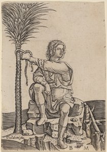 Mand siddende ved et palmetræ