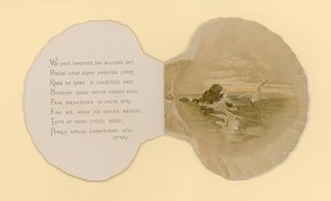 Illustration til hæfte med titlen Sea Shells (color litho)