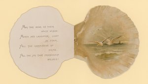 Illustration til hæfte med titlen Sea Shells (color litho)