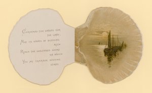 Illustration til hæfte med titlen Sea Shells (color litho)