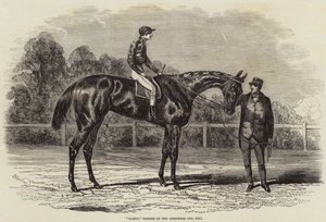 Nancy, vinder af Goodwood Cup, 1851