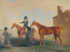 Gul hammer, ca.1800
