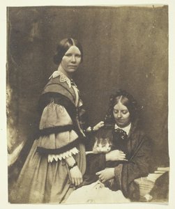 Mrs. Craik Holding Cat, ca. 1858. af Benjamin Mulock