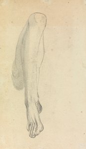 Anatomisk undersøgelse af et ben af Benjamin Robert Haydon