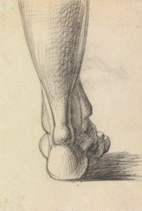 Anatomisk undersøgelse af en fods hæl