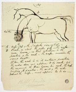 Skitse af hest med notationer af Benjamin Robert Haydon