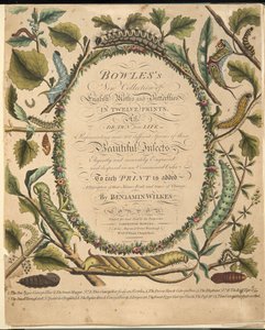 Frontispice, fra A Rare Depiction of Butterflies and Moths, pub. 1764 (håndfarvet gravering) af Benjamin Wilkes