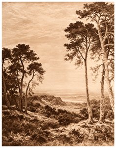 Solnedgang efter regn, 1903 af Benjamin Williams Leader