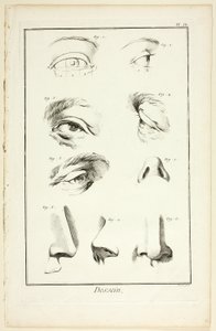 Design: Facial Anatomy fra Encyclopédie