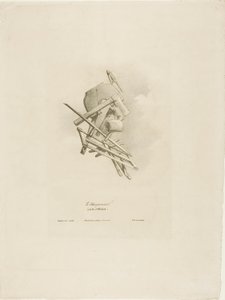 Tømreren, fra Arts et Métiers