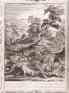 Actaeon forvandlet til en kronhjort og fortæret af sine hunde, 1731 af Bernard Picart