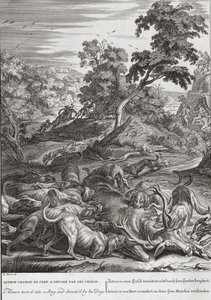 Actaeon blev til en kronhjort og fortæret af sine hunde, 1731 af Bernard Picart