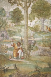 Cephalus skjuler juvelerne, ca. 15201522. af Bernardino Luini