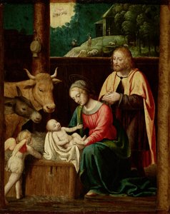 Kristi fødsel af Bernardino Luini