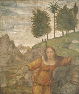 Procris gennemboret af Cephalus
