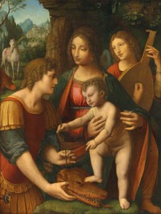 Madonna og barnet med Sankt Georg og en engel af Bernardino Luini