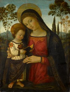 Madonna og barn, omkring 1490-1495 (tempera på panel)