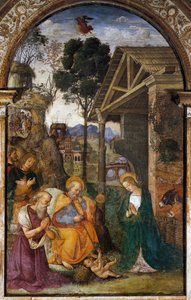 Fødsel med St. Hieronymus, ungdommelig fresco af Bernardino Betti kendt som Il Pinturicchio af Bernardino di Betto Pinturicchio