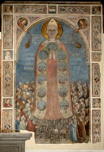 Madone de la Misericorde - Madonna of Mercy (Madonna of Mercy) af Daddi, Bernardo (1290-1350)