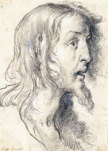 Kristi hoved i profil til højre, af Bernardo Strozzi
