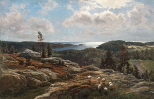 Udsigt over Ladoga
