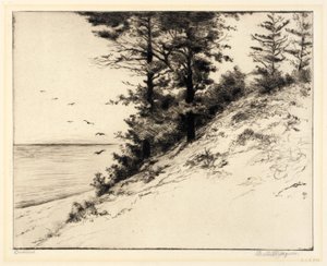 Duneland af Bertha E. Jaques