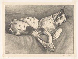 sovende hund af Bertha van Hasselt (signed by artist)