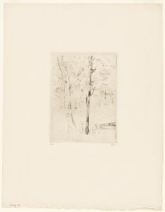 Søen i Bois de Boulogne af Berthe Morisot
