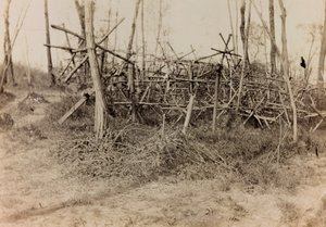Album af Første Verdenskrig i Friuli-Venezia Giulia: defensiv hindring (frisiske heste), 05/1916 (s/h foto) af Bertoni Bertoni