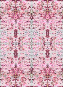 Burgandy Rose, 2015 (blandede medier, illustration, digital)