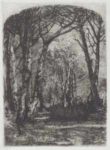 Woods [Bosco], ca. 1895.