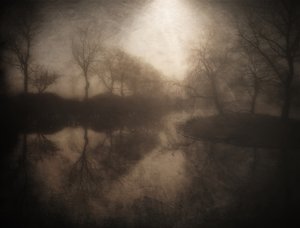 Refleksion i den tågede skov af Bill Eiffert