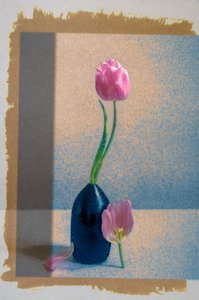 Stilleben med lyserøde tulipaner af Birdie Ni