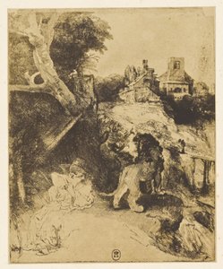Sankt Hieronymus i Albert Dürers Gigt af Bisson Frères