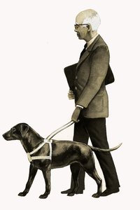 Førerhund for blinde