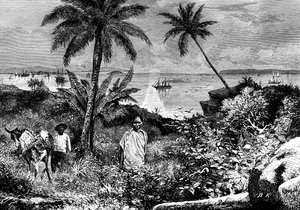 Panamabugten