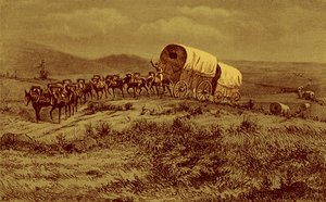Wild West - muldyrtog på vej mod vest