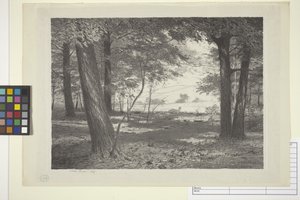 Edge Of The Woods (blæk på papir)