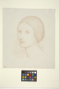 Eleanor (blæk på papir)